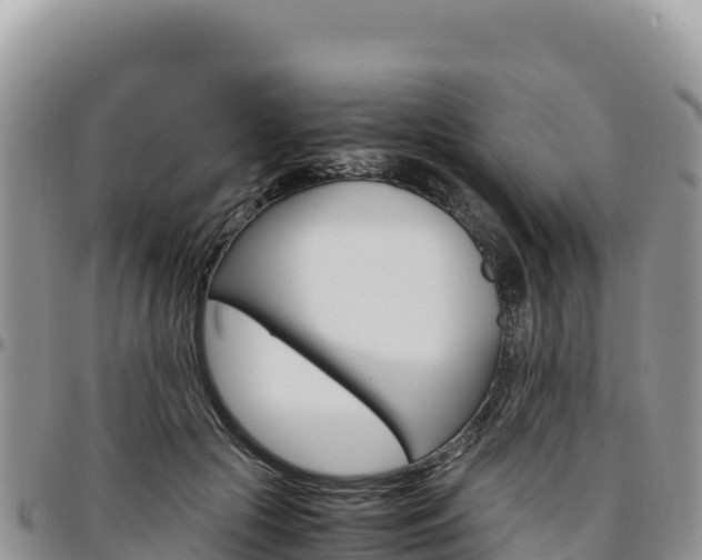 X0000097300553200802151125