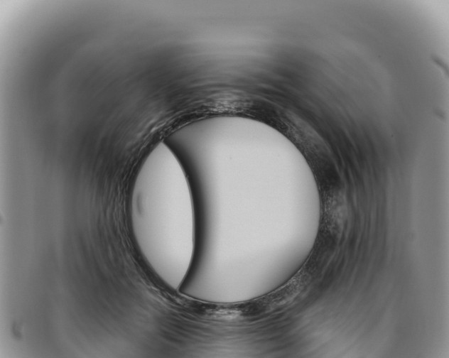 X0000097300554200802151125