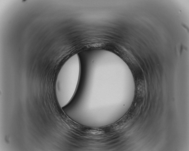 X0000097300555200802151125