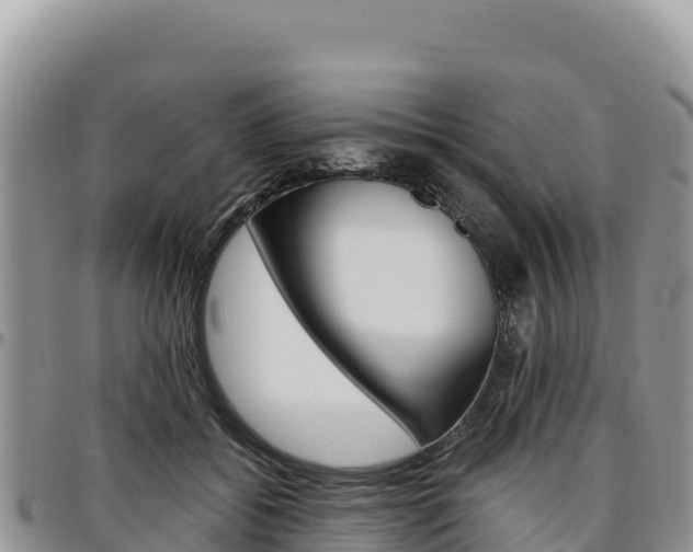 X0000097300556200802151125