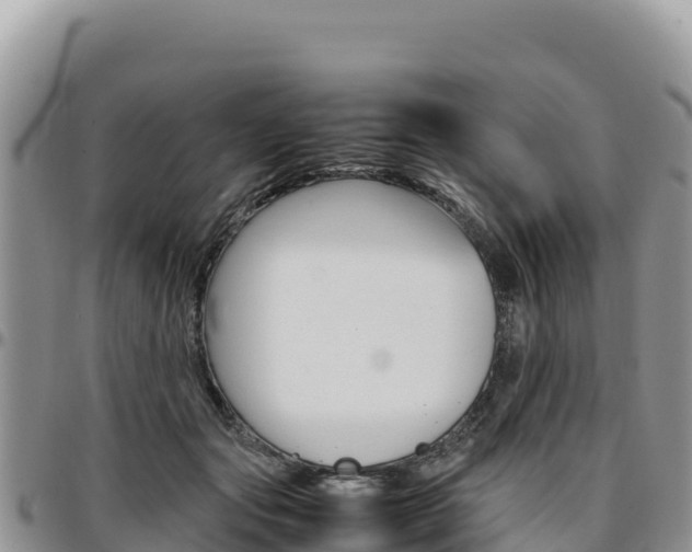 X0000097300557200802151125