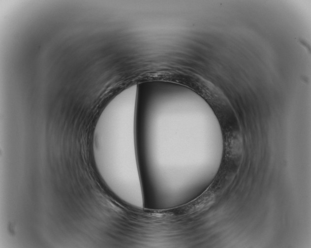 X0000097300558200802151125