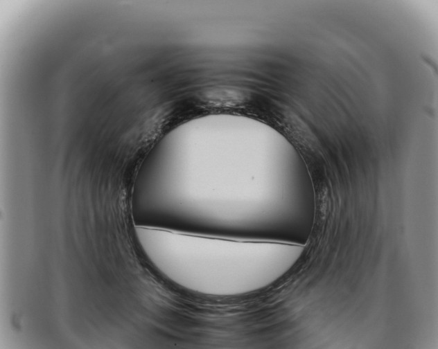 X0000097300559200802151125