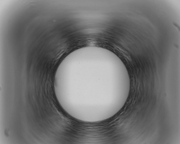 X0000097300560200802151125