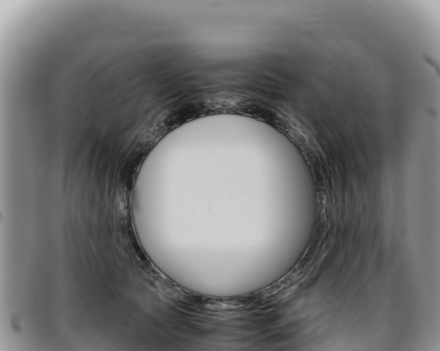 X0000097300561200802151125