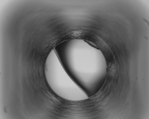 X0000097300562200802151125