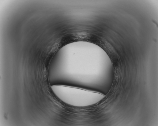 X0000097300563200802151125
