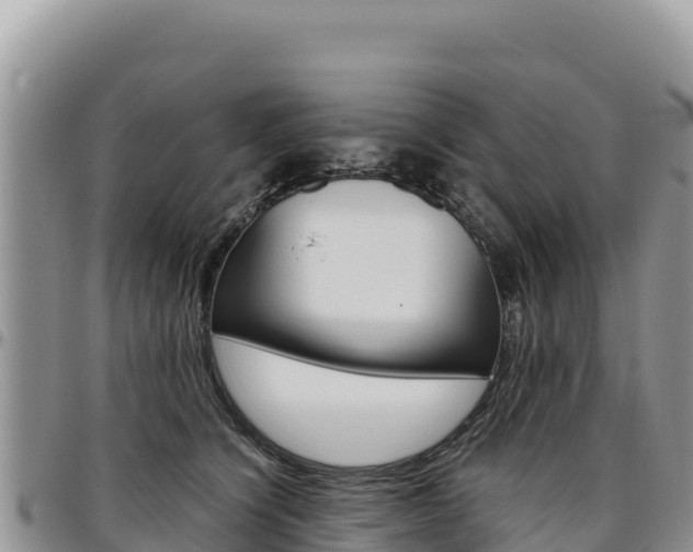 X0000097300564200802151125
