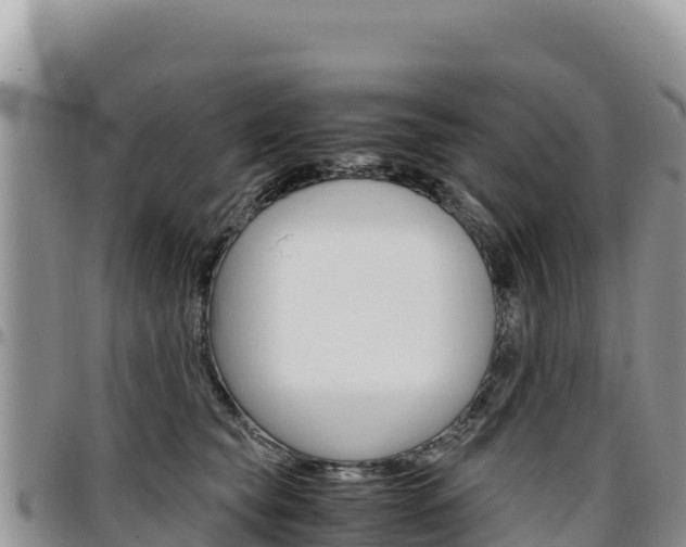 X0000097300565200802151125