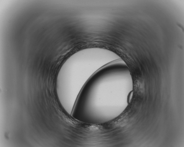 X0000097300566200802151125