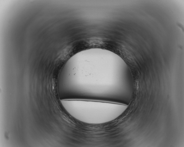 X0000097300567200802151125
