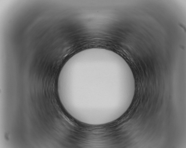 X0000097300568200802151125