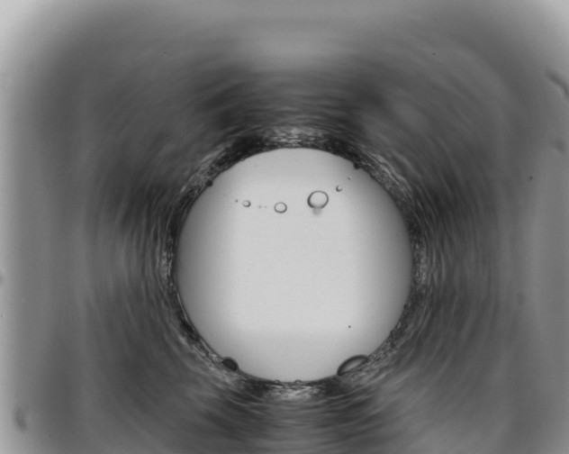 X0000097300569200802151125