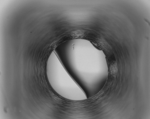 X0000097300570200802151125