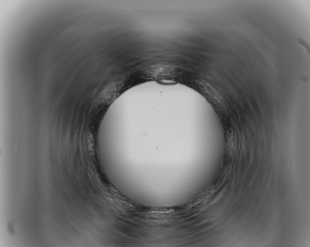 X0000097300571200802151125