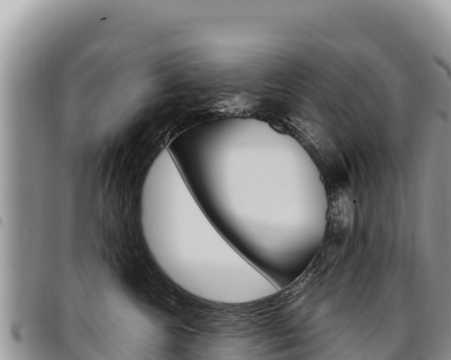 X0000097300572200802151125