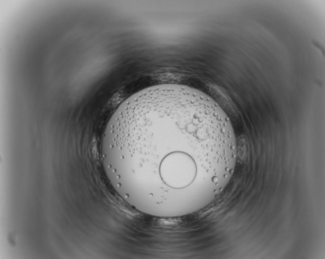 X0000097300573200802151125