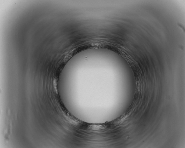 X0000097300575200802151125