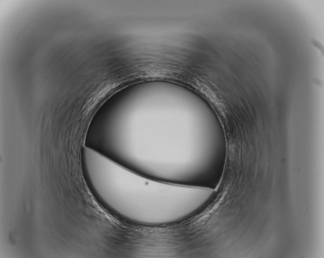 X0000097300577200802151124