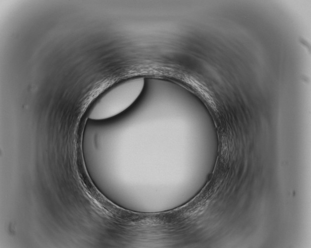 X0000097300578200802151124