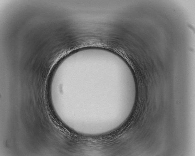 X0000097300579200802151124