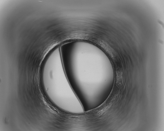 X0000097300580200802151124