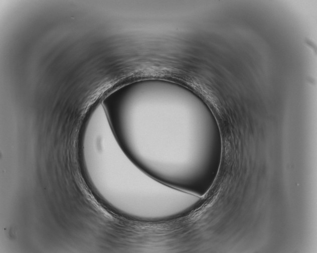 X0000097300581200802151124