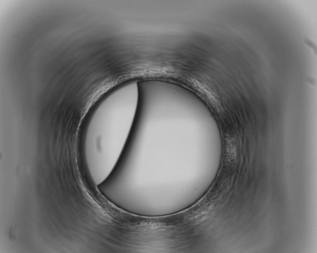 X0000097300582200802151124