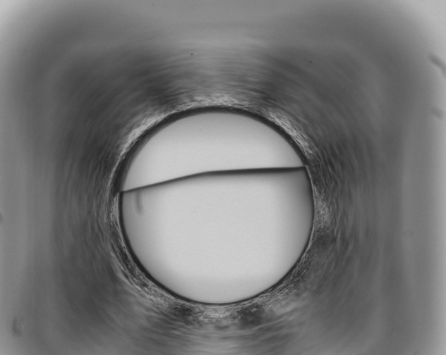 X0000097300583200802151124