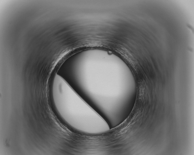X0000097300584200802151124