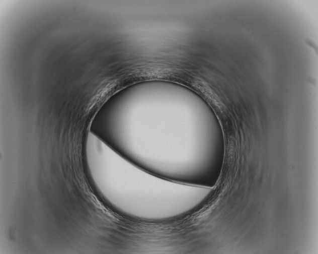 X0000097300585200802151124