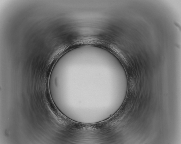 X0000097300586200802151124