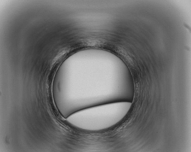 X0000097300587200802151124