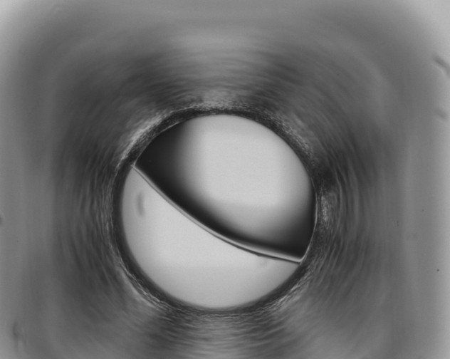 X0000097300588200802151124