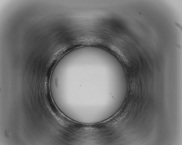 X0000097300590200802151124