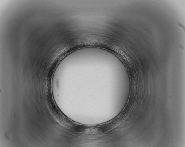 X0000097300591200802151124
