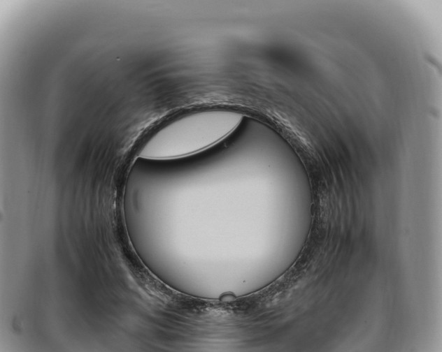 X0000097300592200802151124