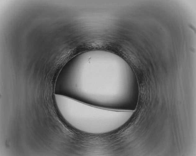 X0000097300593200802151124