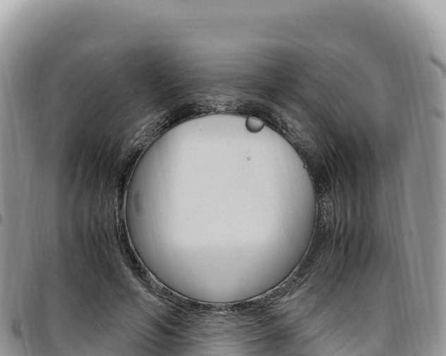 X0000097300594200802151124