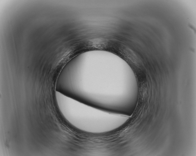 X0000097300595200802151124