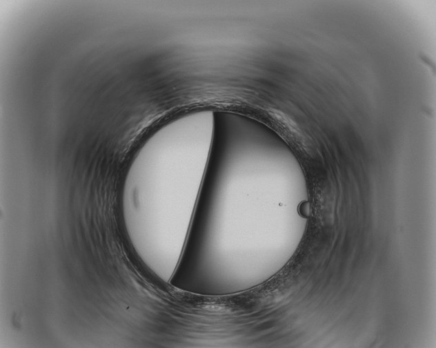 X0000097300596200802151124