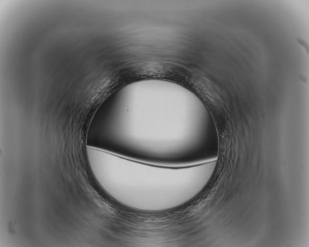 X0000097300597200802151124