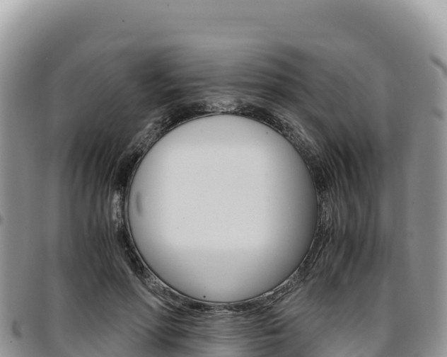 X0000097300598200802151124