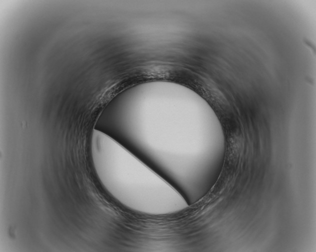 X0000097300600200802151124