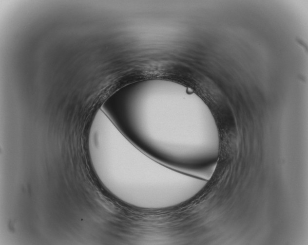 X0000097300601200802151124