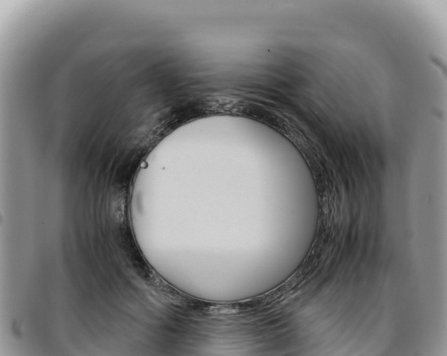 X0000097300602200802151124