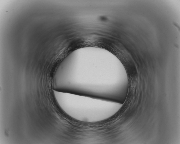 X0000097300603200802151124