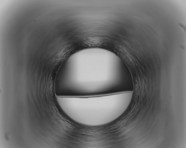X0000097300604200802151124