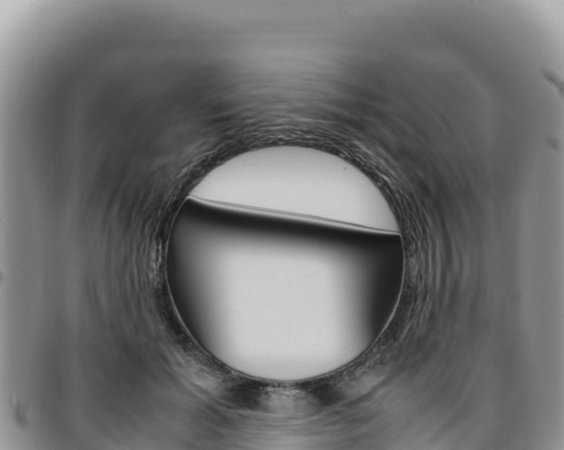 X0000097300605200802151124