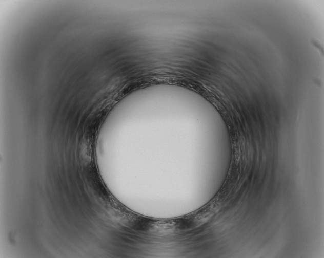 X0000097300606200802151124